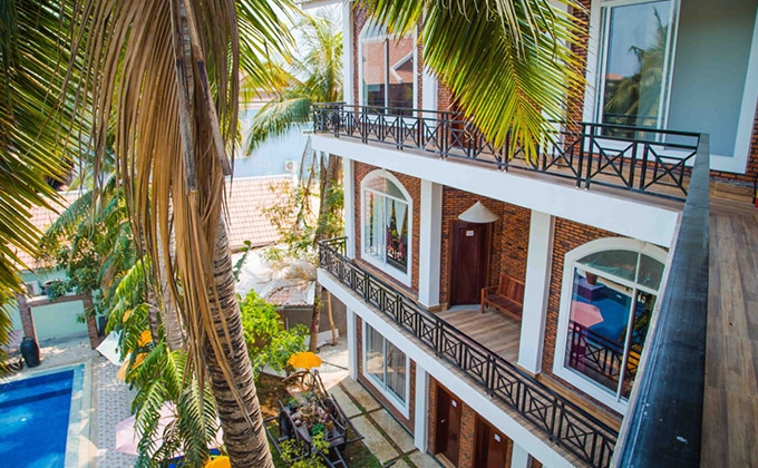 The Coconut View